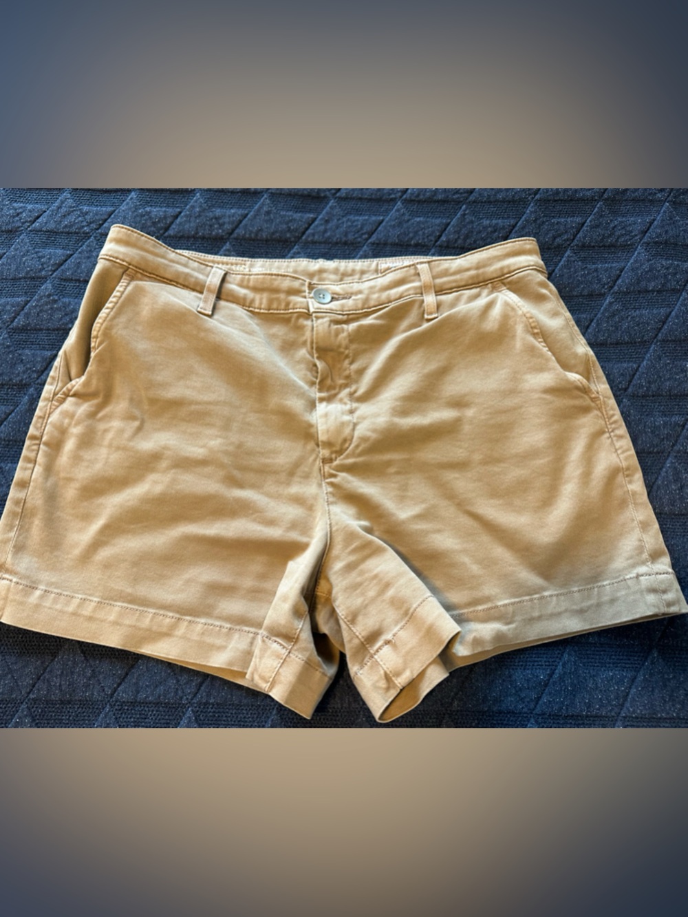 Ag Adriano Goldschmied Caden Shorts